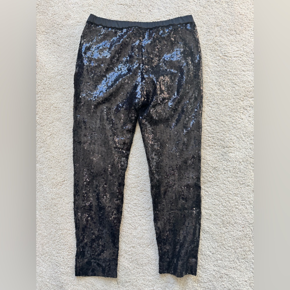 Sequin Pants - image 6